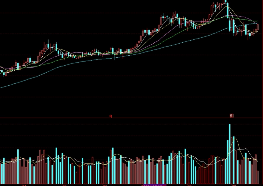 沐风期货(沐风农业)_http://vsnmp.cn_财经期货直播_第1张